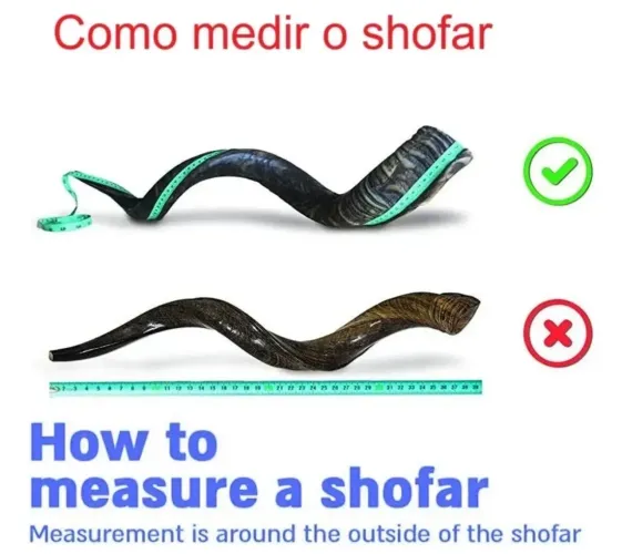 Shofar Kudu Grande 70cm - Antílope Original - Som Forte Profético Israel