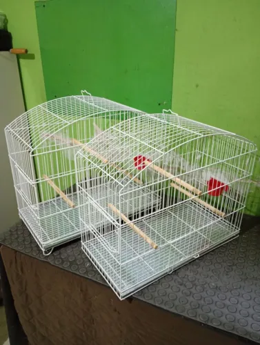 Gaiola