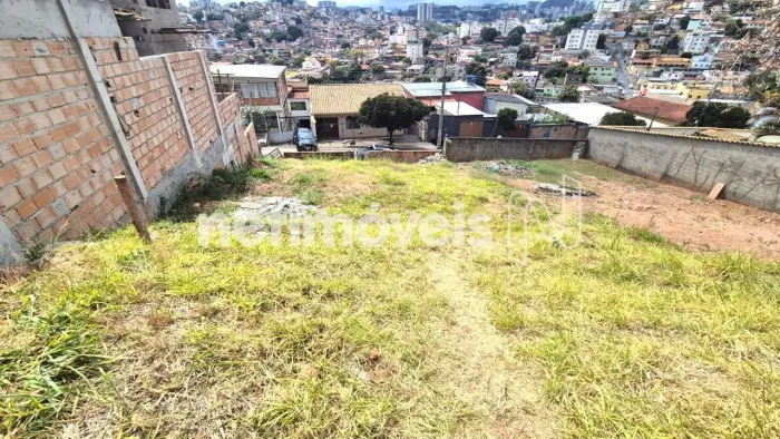 Venda Lote-Área-Terreno Cinquentenário Belo Horizonte