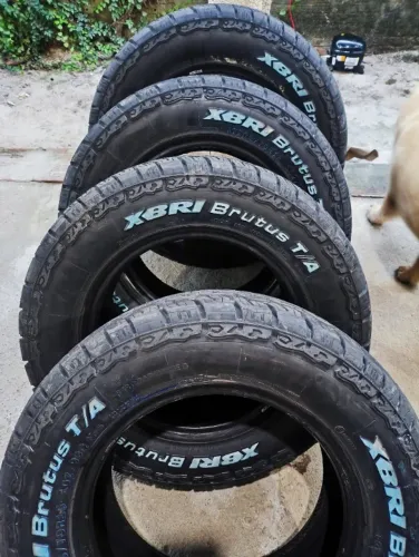 Pneu aro 15 XBRI Brutus 205/70