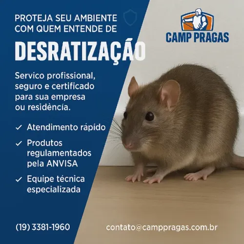 Desratização - Controle de ratos
