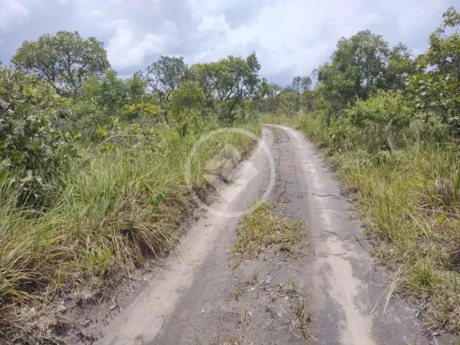 Excelente fazenda com dupla aptidão, a 14 km do munícipio de Colinas do Tocantins! codigo: