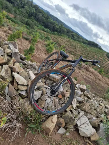 Bicicleta