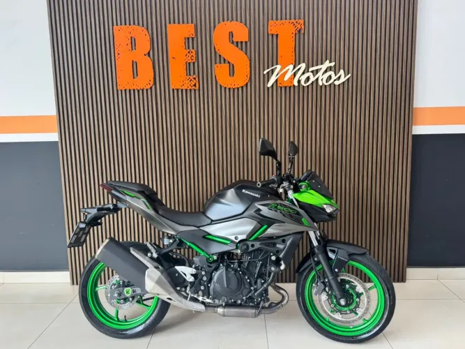 Z 500 SE