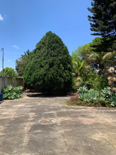 Alugamos área com 564,00m² no Bairro Candeias em Vitória da Conquista 