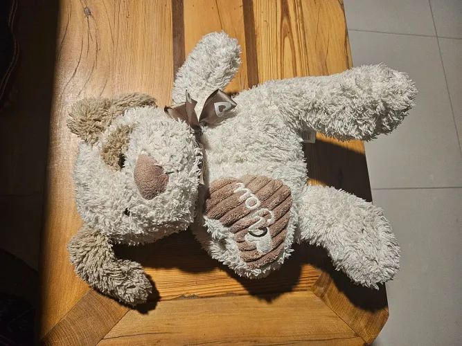 Urso de pelúcia