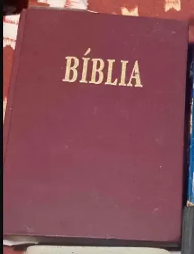 Bíblia sagrada versão revisada IBB/Juerp