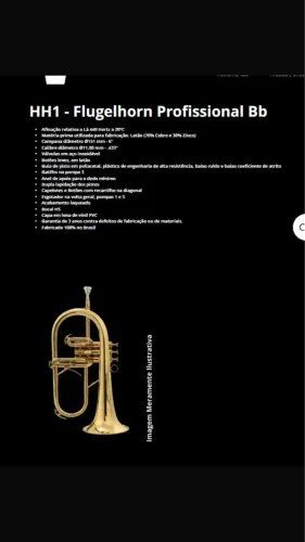Flughorn Profissional HS
