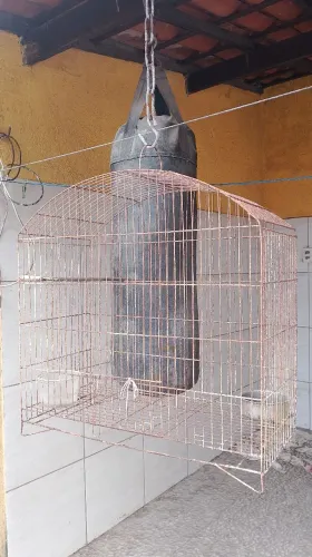 Gaiola para calopsita e pássaros