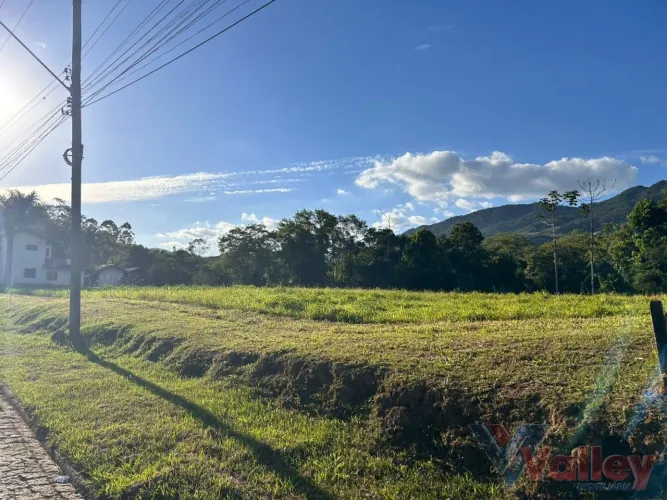Terreno com mais de 10 mil m² em localização tranquila, plano e de fácil acesso