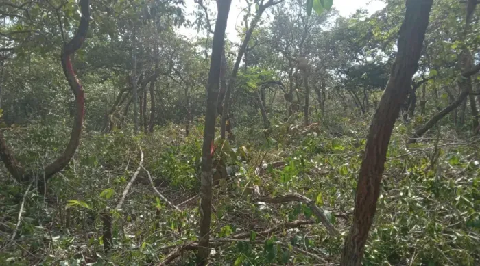 Lote/Terreno para venda com 1100 metros quadrados