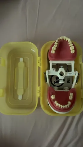 manequim periodontia usado