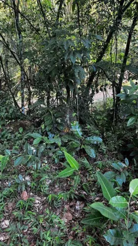 Terreno Residencial à venda, Tinguá, Nova Iguaçu - TE0016.