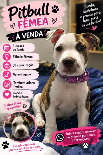 Vendo fêmea 