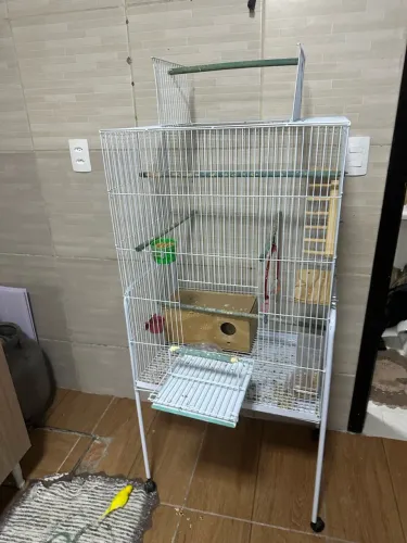 Gaiola grande para pássaros 300,00
