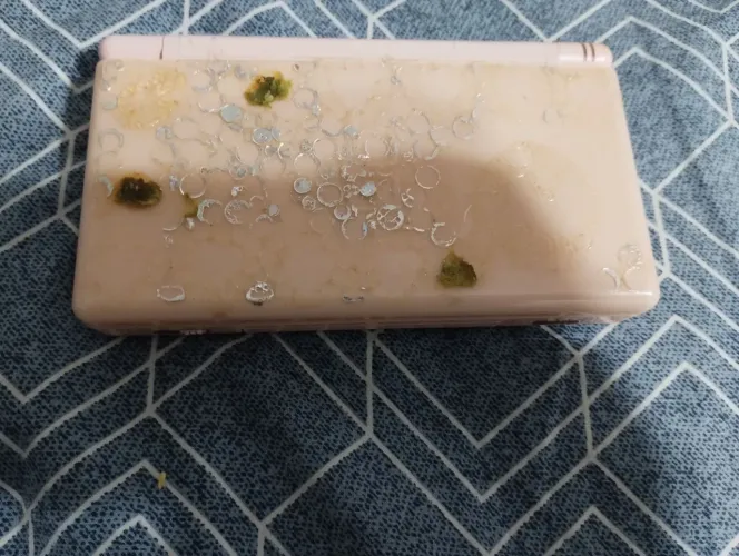 Nintendo DS Lite