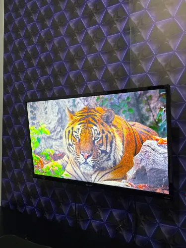 Tv SEMP ROKU 32 Polegadas (Ótima conservação?)