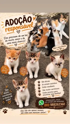Adoção responsável