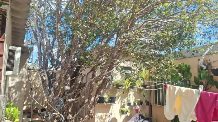 Casa à venda, 3 quartos, 2 vagas, Sagrada Família - Belo Horizonte/MG
