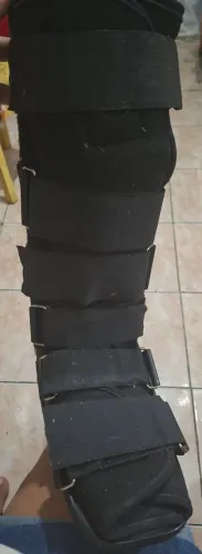 Bota