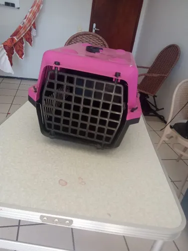 Vendo caixa para carregar cachorro.