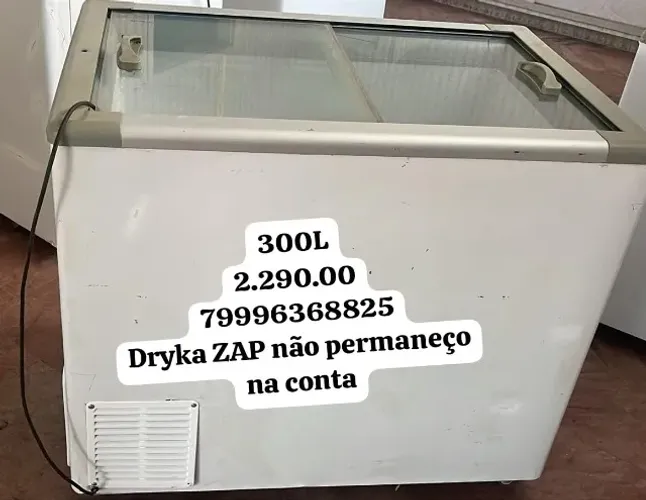 freezer expositor 300L