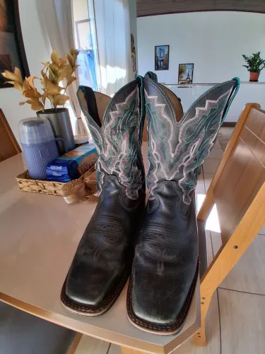 Bota DGO
