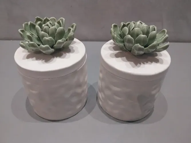 Dois vasos decorativos com tampa branco e verde