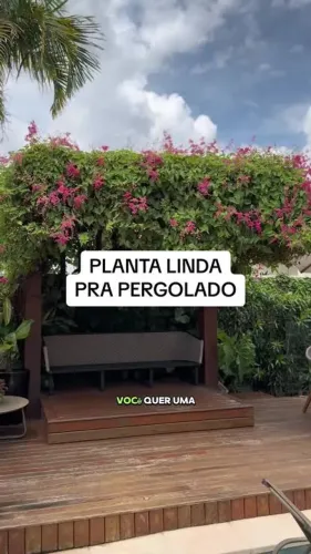 Amor agarradinho
