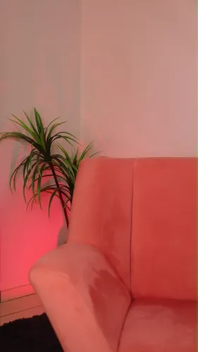 Par de Poltronas Decorativas Rosas - Ótimo Estado