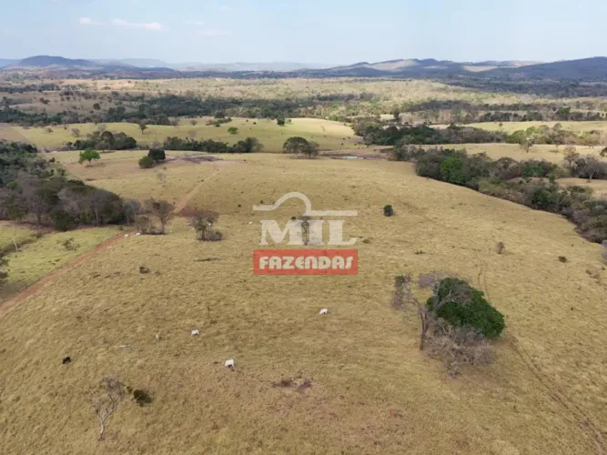 Fazenda 25,33 Alqueires (122,60 Hectares) Mara Rosa - GO