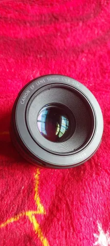 Lente Canon 50mm 1.8 STM impecavel!