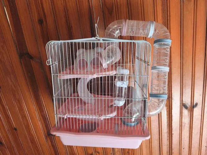 Kit Gaiolas hamster 