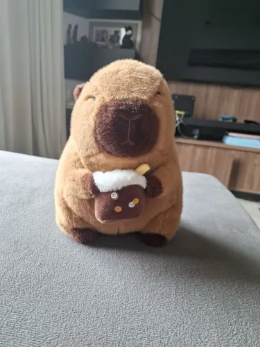 Capivara pelucia