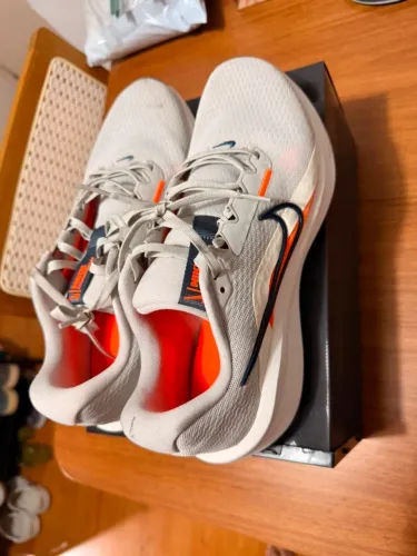 Tênis Nike Corrida 43