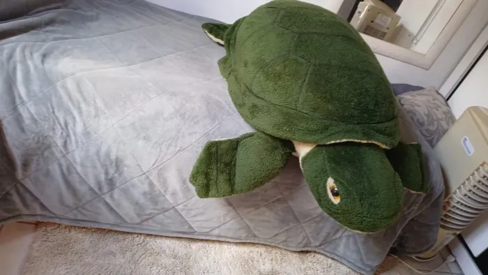 Tartaruga de pelúcia 