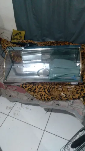Estufa 5bandeja nova