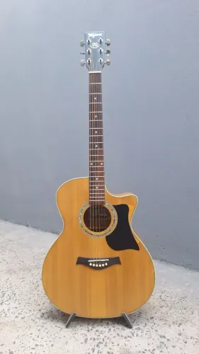 Violão Tagima TW29