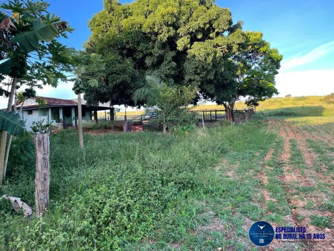 Chácara à Venda em Goiás Velho - GO | 10 Alqueires com Plantio e Córrego