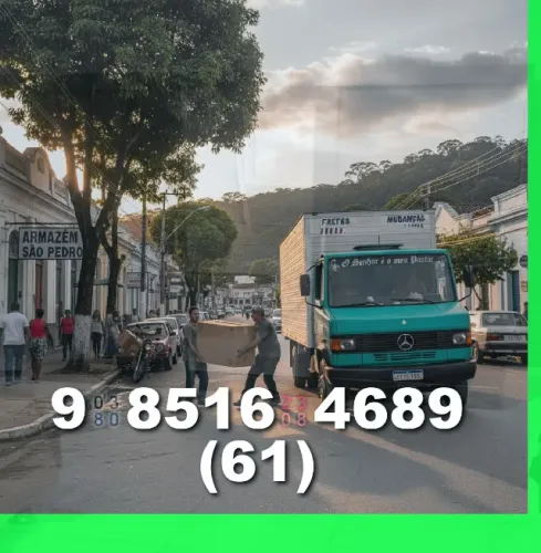 Frete e Mudança com Segurança/Disponibilidade/Transporte de Cargas/Rápido!