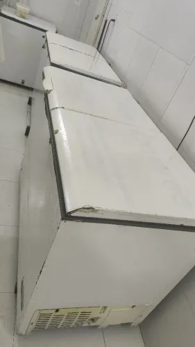 Freezer horizontal