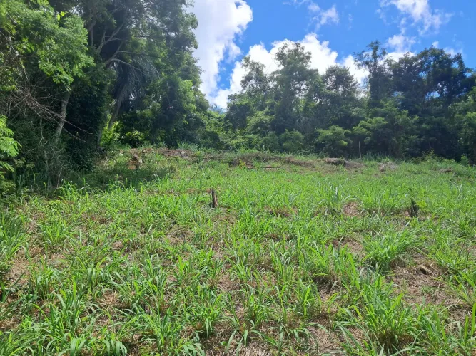 Lote na lajinha