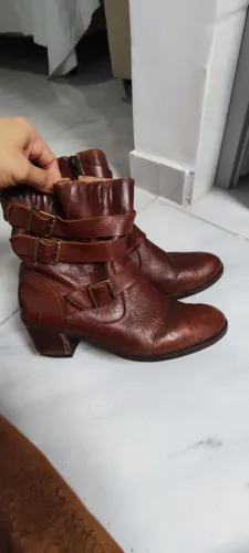 Bota