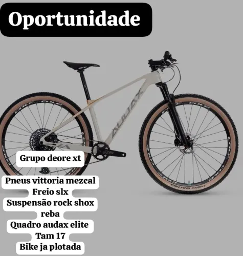 Bicicleta audax auge 800 carbono