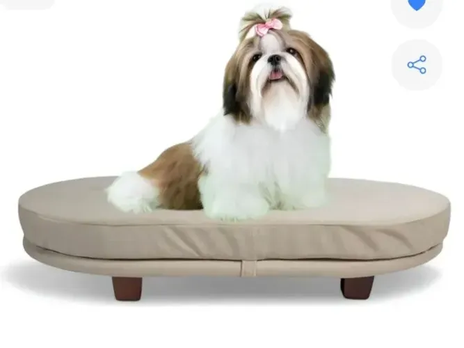 Caminha pet - estilo cama box