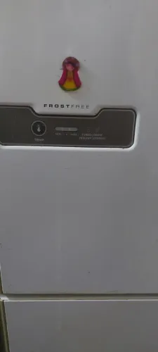 Geladeira Eletrolux duplex precisando gás
