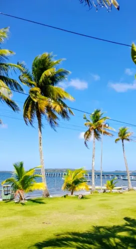 terreno em Barra grande Bahia(Camamu).