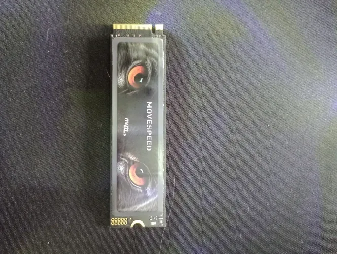 Nvme 1TB gen4 Pcie 4.0 Blackpanther 7450mb/s de leitura