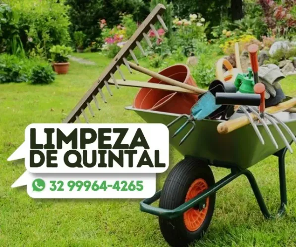 Limpeza de Quintal e Jardim
