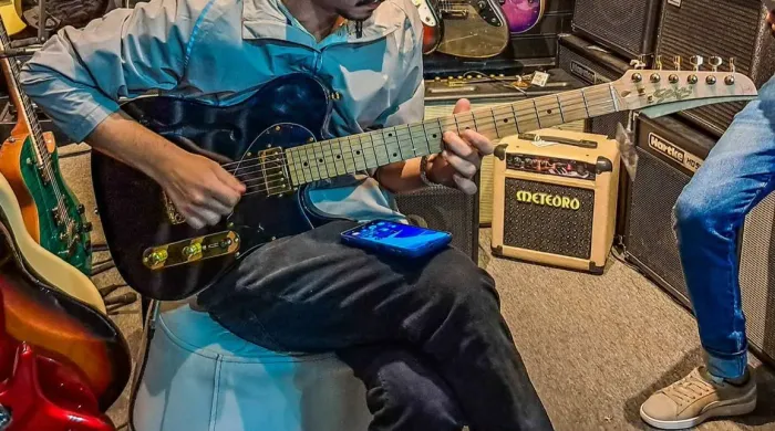 Guitarra Seizi